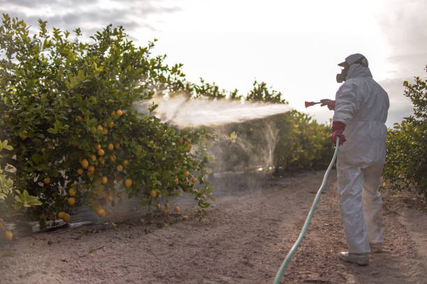 Best Pest Prevention Services  in North Adams, MA